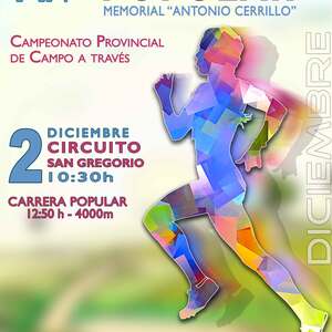 Campeonato Provincial Campo a Través - TOLEDO