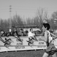 Campeonato de España por Autonomías Escolar. Burgos 2016