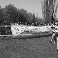 Campeonato de España por Autonomías Escolar. Burgos 2016