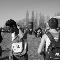 Campeonato de España por Autonomías Escolar. Burgos 2016