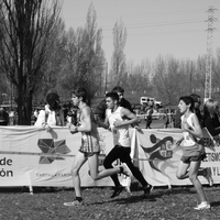 Campeonato de España por Autonomías Escolar. Burgos 2016