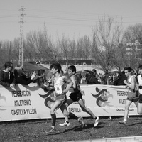 Campeonato de España por Autonomías Escolar. Burgos 2016