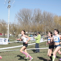 Campeonato de España por Autonomías Escolar. Burgos 2016