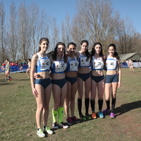 Campeonato de España por Autonomías Escolar. Burgos 2016