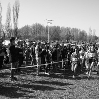 Campeonato de España por Autonomías Escolar. Burgos 2016