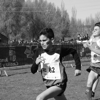 Campeonato de España por Autonomías Escolar. Burgos 2016