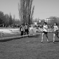 Campeonato de España por Autonomías Escolar. Burgos 2016