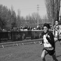 Campeonato de España por Autonomías Escolar. Burgos 2016