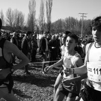 Campeonato de España por Autonomías Escolar. Burgos 2016