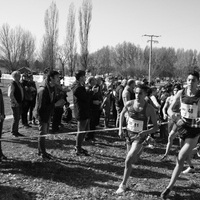 Campeonato de España por Autonomías Escolar. Burgos 2016