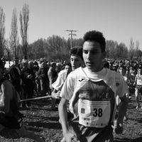 Campeonato de España por Autonomías Escolar. Burgos 2016