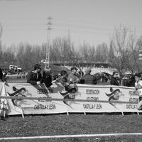 Campeonato de España por Autonomías Escolar. Burgos 2016