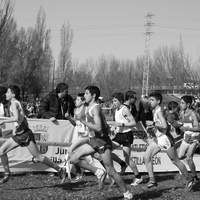 Campeonato de España por Autonomías Escolar. Burgos 2016