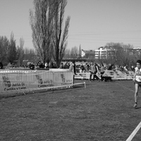 Campeonato de España por Autonomías Escolar. Burgos 2016