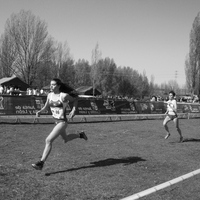 Campeonato de España por Autonomías Escolar. Burgos 2016