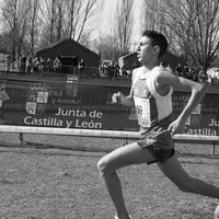 Campeonato de España por Autonomías Escolar. Burgos 2016